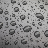Waterborne Coatings